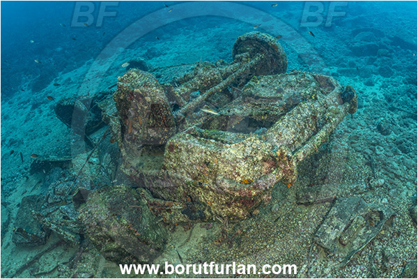 Brsec, Istria, Croatia, Adriatic sea, Mediterranean sea, Wreck, Car, Car wreck