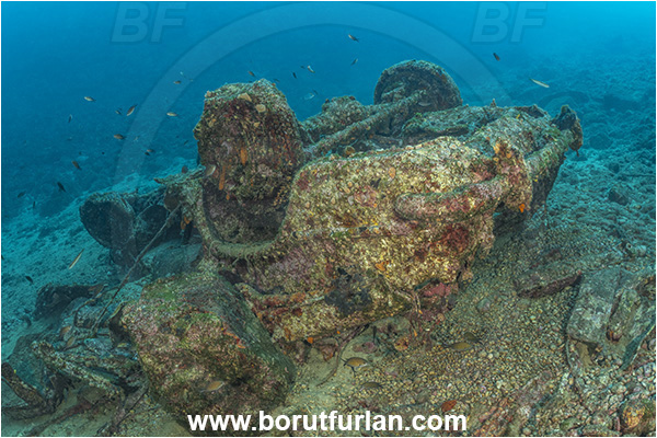 Brsec, Istria, Croatia, Adriatic sea, Mediterranean sea, Wreck, Car, Car wreck