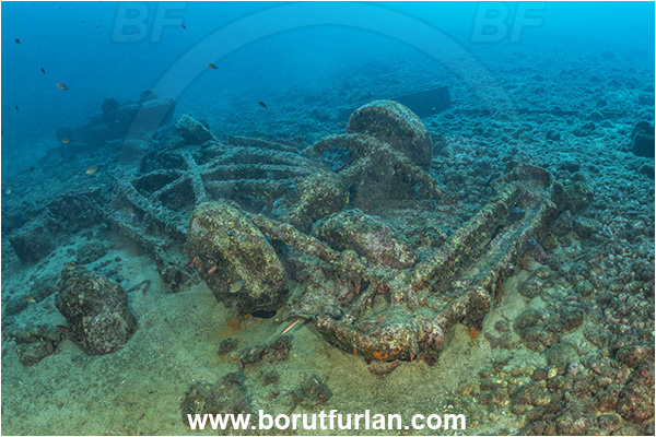 Brsec, Istria, Croatia, Adriatic sea, Mediterranean sea, Wreck, Car, Car wreck