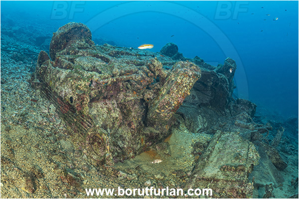 Brsec, Istria, Croatia, Adriatic sea, Mediterranean sea, Wreck, Car, Car wreck