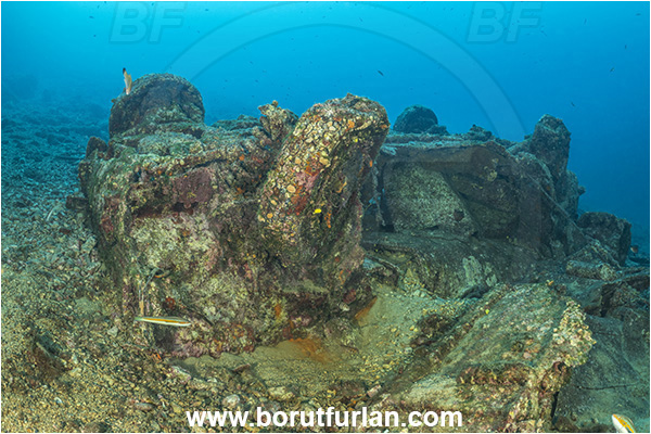 Brsec, Istria, Croatia, Adriatic sea, Mediterranean sea, Wreck, Car, Car wreck