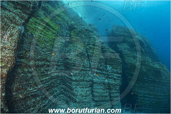 Ilha do Faial, Azores, Portugal, Atlantic ocean, Reef, Rocks, Wall