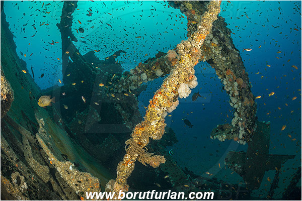 Umkomaas, South Africa, Indian ocean, Wreck Produce, Wreck