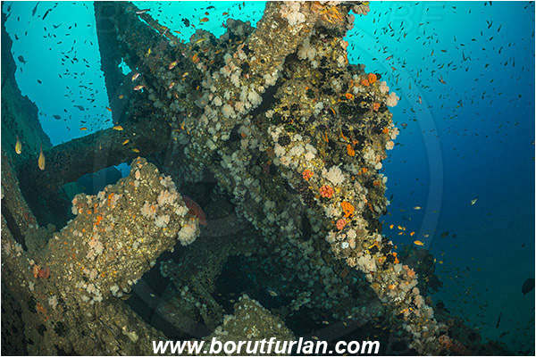 Umkomaas, South Africa, Indian ocean, Wreck Produce, Wreck