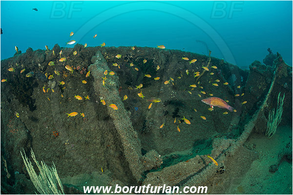 Umkomaas, South Africa, Indian ocean, Wreck Produce, Wreck