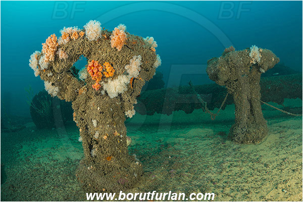 Umkomaas, South Africa, Indian ocean, Wreck Produce, Wreck