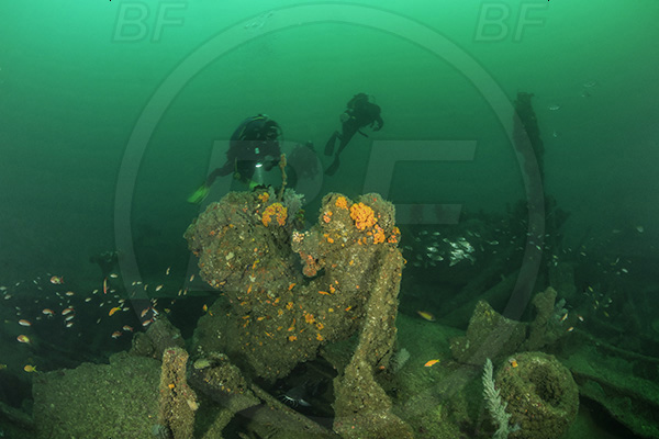Umkomaas, South Africa, Indian ocean, Wreck Produce, Wreck, Diver
