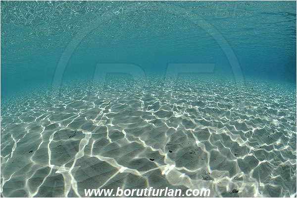Pantar, Alor, Indonesia, Shallow, Sandy bottom, Sand, Surface, Reflections