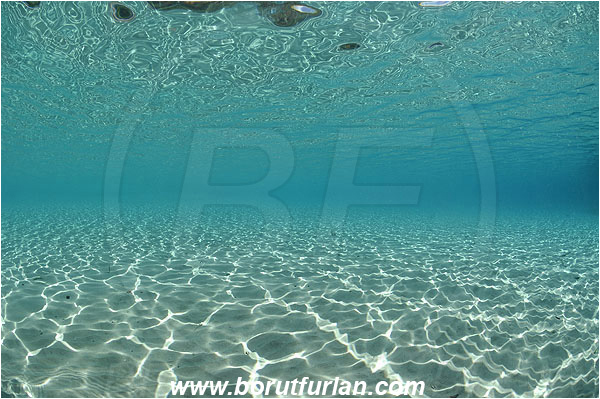 Pantar, Alor, Indonesia, Shallow, Sandy bottom, Sand, Surface, Reflections