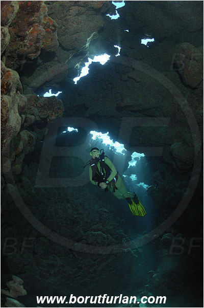 Shaab Abu Dabab, Marsa Alam, Egypt, Red sea, Reef, Cave, Diver