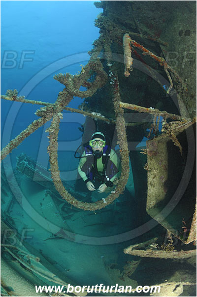 Marsa Abu Ghusun, Marsa Alam, Egypt, Red sea, Abu Ghusun Wreck, Wreck, Diver