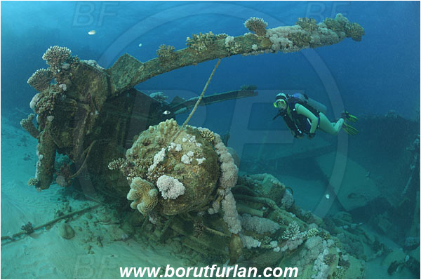 Marsa Abu Ghusun, Marsa Alam, Egypt, Red sea, Abu Ghusun Wreck, Wreck, Diver