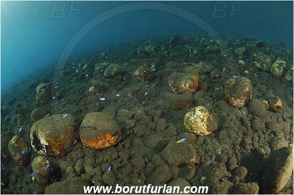 Tulamben, Bali, Indonesia, Stones, Vulcanic stones, Reef