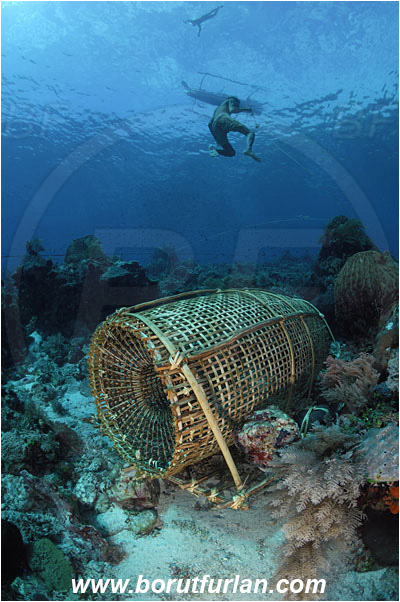 Pura, Alor, Indonesia, Reef, Fish trap, Native diver, Native boat, Trimaran