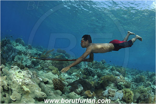 Pantar, Alor, Indonesia, Reef, Native diver, Native fisherman, Underwater fisherman, Speargun