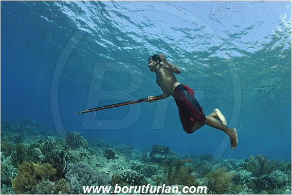 Pantar, Alor, Indonesia, Reef, Native diver, Native fisherman, Underwater fisherman, Speargun