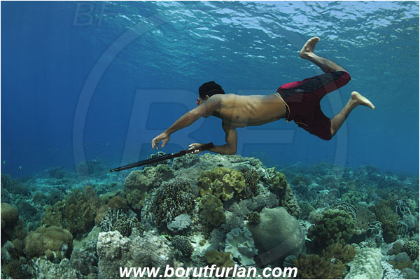 Pantar, Alor, Indonesia, Reef, Native diver, Native fisherman, Underwater fisherman, Speargun