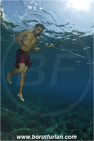 Pantar, Alor, Indonesia, Reef, Native diver, Native fisherman, Underwater fisherman, Speargun