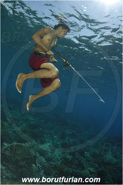 Pantar, Alor, Indonesia, Reef, Native diver, Native fisherman, Underwater fisherman, Speargun