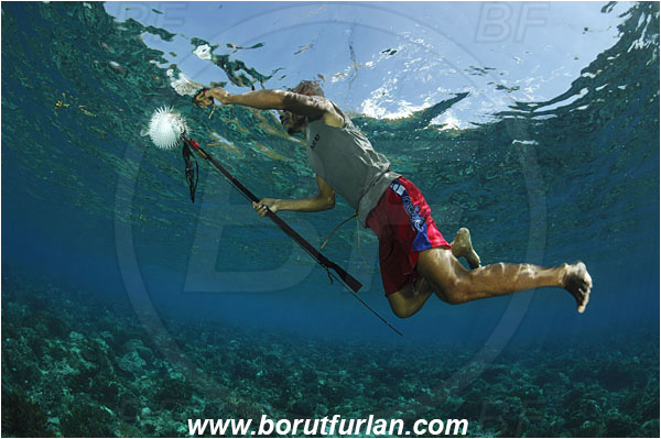 Pantar, Alor, Indonesia, Reef, Native diver, Native fisherman, Underwater fisherman, Speargun, Prey