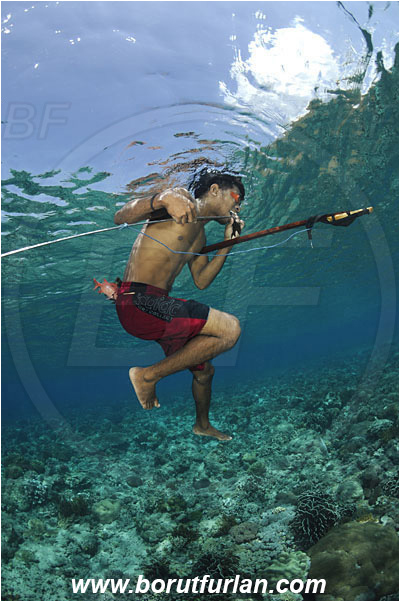 Pantar, Alor, Indonesia, Reef, Native diver, Native fisherman, Underwater fisherman, Speargun