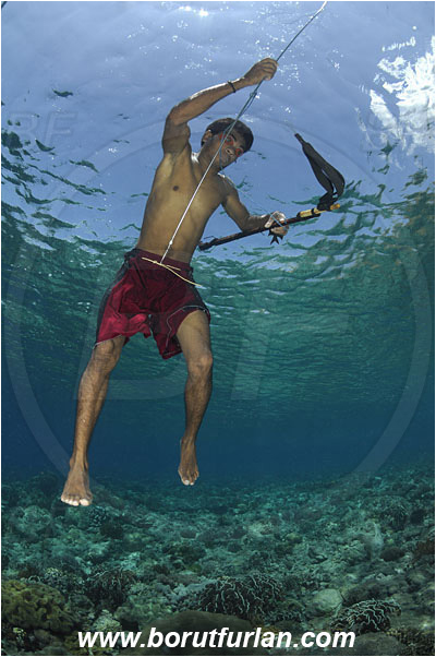 Pantar, Alor, Indonesia, Reef, Native diver, Native fisherman, Underwater fisherman, Speargun