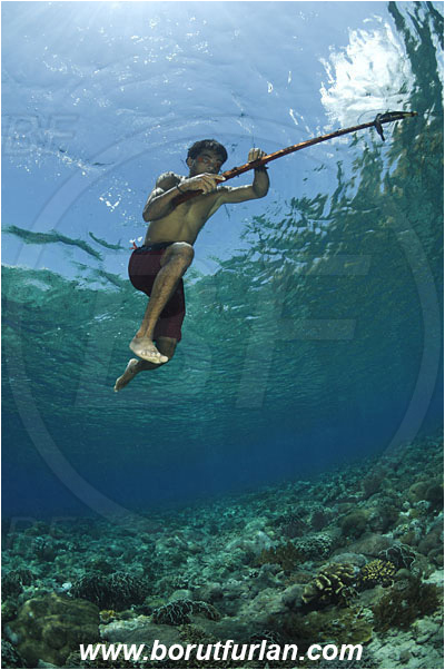 Pantar, Alor, Indonesia, Reef, Native diver, Native fisherman, Underwater fisherman, Speargun