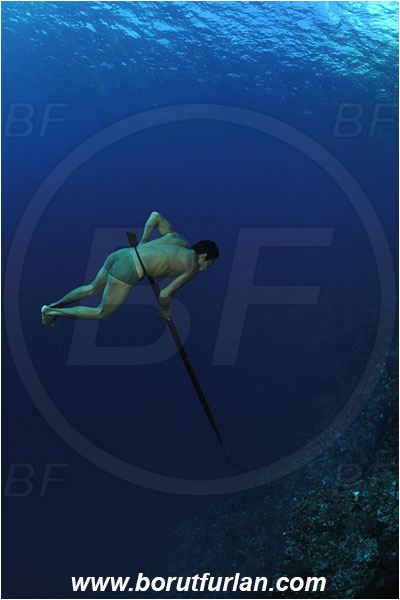 Pantar, Alor, Indonesia, Reef, Wall, Native diver, Native fisherman, Underwater fisherman, Speargun
