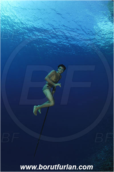 Pantar, Alor, Indonesia, Reef, Wall, Native diver, Native fisherman, Underwater fisherman, Speargun