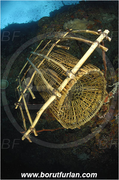 Ternate, Alor, Indonesia, Fish trap, Reef