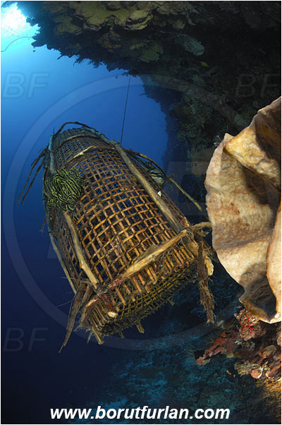 Ternate, Alor, Indonesia, Fish trap, Reef