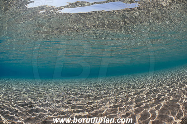 Marsa Bareika, Sinai, Egypt, Red sea, Surface, Reflection, Sand, Shallow