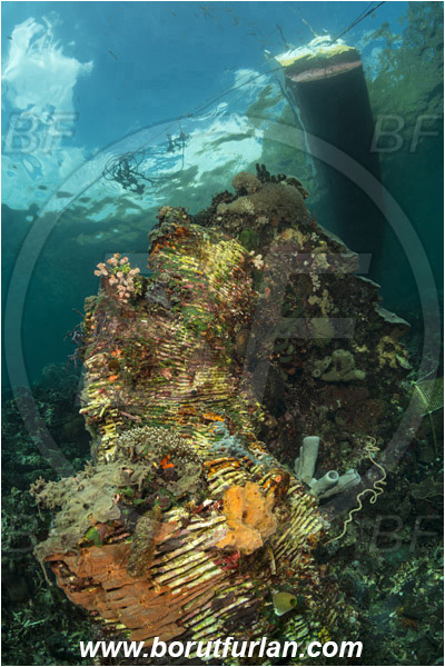 Pura, Alor, Indonesia, Broken coral, Reef, Native Boat