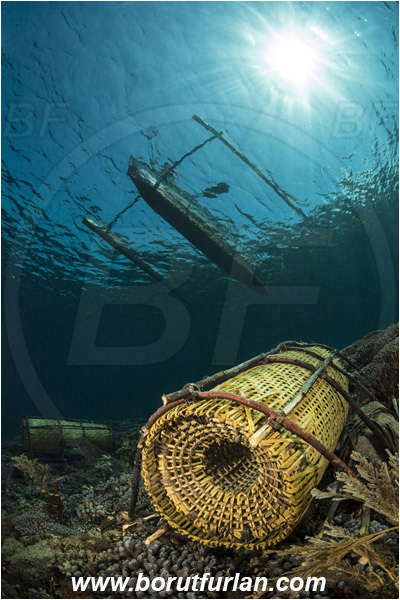 Pura, Alor, Indonesia, Reef, Fish trap, Native boat, Trimaran