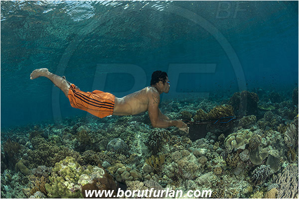Pantar, Alor, Indonesia, Reef, Native diver, Native fisherman, Underwater fisherman, Speargun