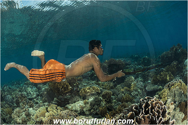 Pantar, Alor, Indonesia, Reef, Native diver, Native fisherman, Underwater fisherman, Speargun