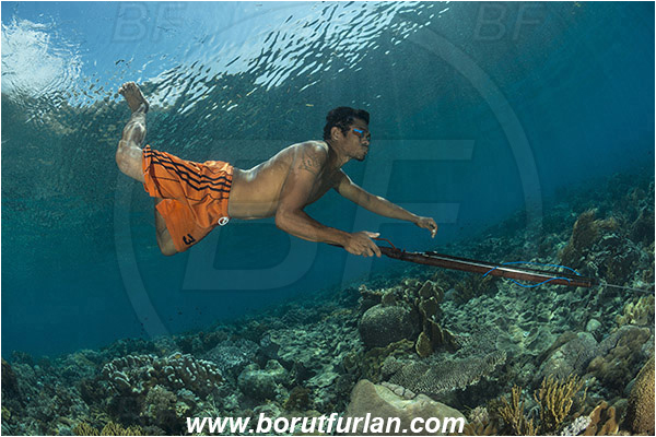 Pantar, Alor, Indonesia, Reef, Native diver, Native fisherman, Underwater fisherman, Speargun