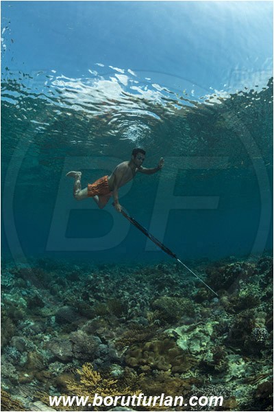 Pantar, Alor, Indonesia, Reef, Native diver, Native fisherman, Underwater fisherman, Speargun