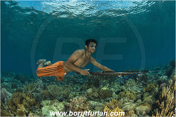 Pantar, Alor, Indonesia, Reef, Native diver, Native fisherman, Underwater fisherman, Speargun