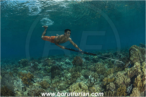 Pantar, Alor, Indonesia, Reef, Native diver, Native fisherman, Underwater fisherman, Speargun