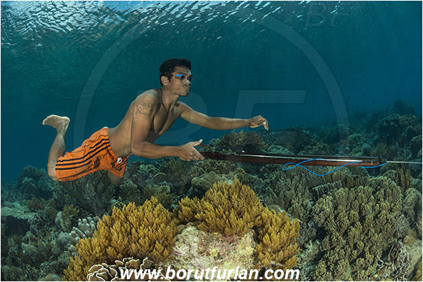 Pantar, Alor, Indonesia, Reef, Native diver, Native fisherman, Underwater fisherman, Speargun