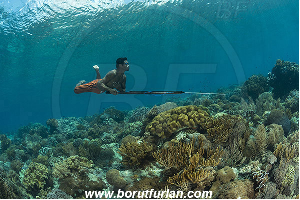 Pantar, Alor, Indonesia, Reef, Native diver, Native fisherman, Underwater fisherman, Speargun