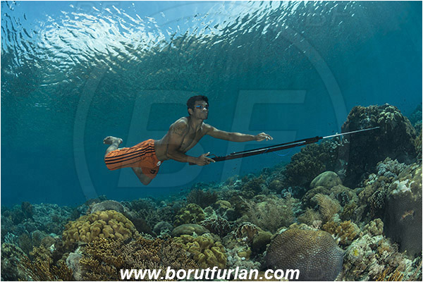 Pantar, Alor, Indonesia, Reef, Native diver, Native fisherman, Underwater fisherman, Speargun