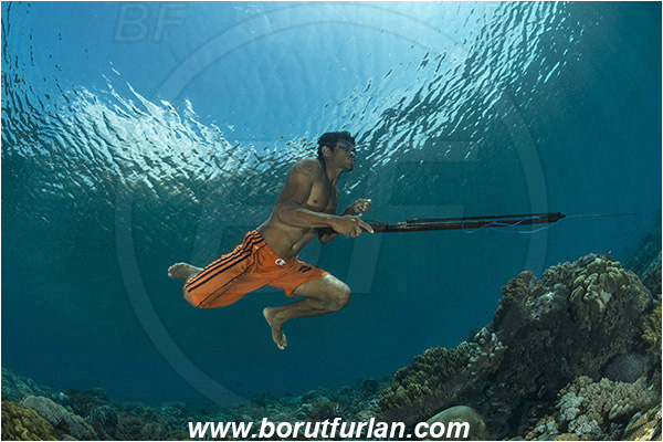 Pantar, Alor, Indonesia, Reef, Native diver, Native fisherman, Underwater fisherman, Speargun