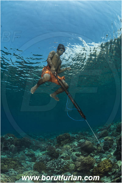 Pantar, Alor, Indonesia, Reef, Native diver, Native fisherman, Underwater fisherman, Speargun
