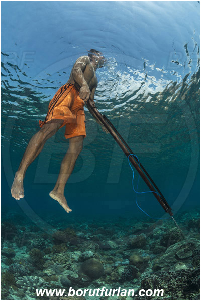 Pantar, Alor, Indonesia, Reef, Native diver, Native fisherman, Underwater fisherman, Speargun