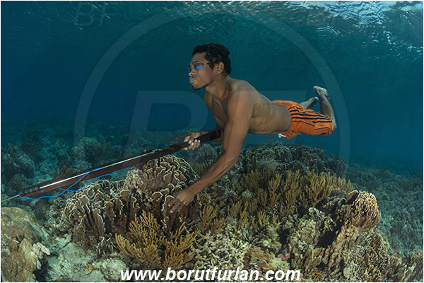 Pantar, Alor, Indonesia, Reef, Native diver, Native fisherman, Underwater fisherman, Speargun