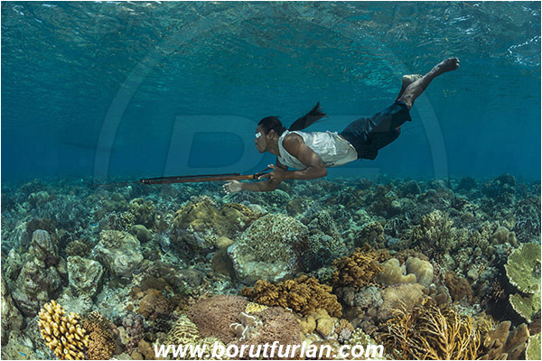 Pantar, Alor, Indonesia, Reef, Native diver, Native fisherman, Underwater fisherman, Speargun