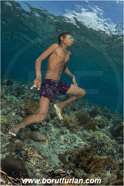 Pantar, Alor, Indonesia, Reef, Native diver, Boy
