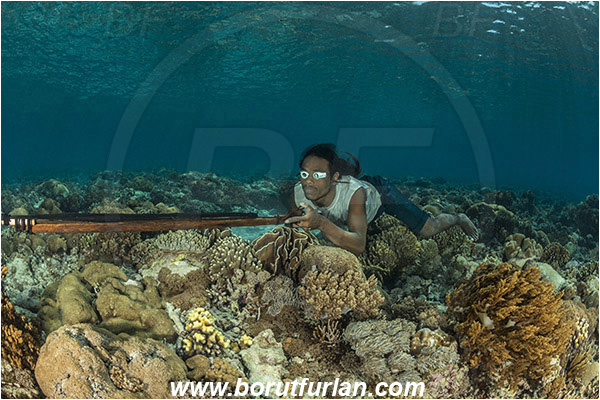 Pantar, Alor, Indonesia, Reef, Native diver, Native fisherman, Underwater fisherman, Speargun